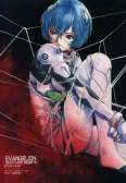 EVA137.jpg